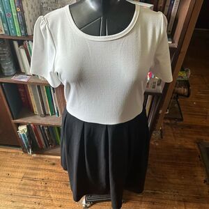 Lularoe Amelia black & white Parisian 2X fit and flare Amelia dress